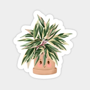 Cute Plant Illustration, Calathea Triostar Sticker